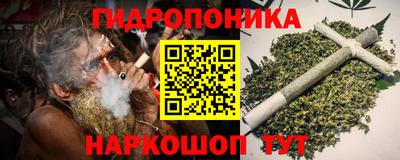 гидра Ставрополь