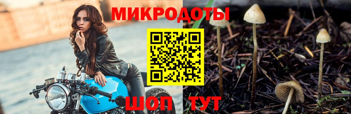 Галлюциногенные грибы Psilocybine cubensis  Вход с VPN  Нефтекамск  Псилоцибиновые грибы Magic Shrooms 